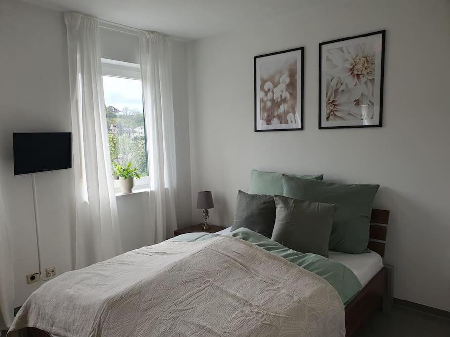 Apartment Panoramablick Bad Mergentheim